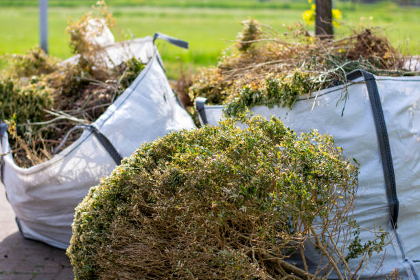 Best Dumpster Rental Services  in Beverly, OH